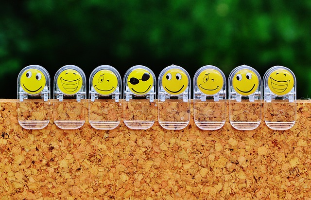 What are basic emotions?
